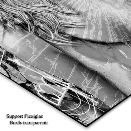 tableau moderne colombe en vol avec effet peinture