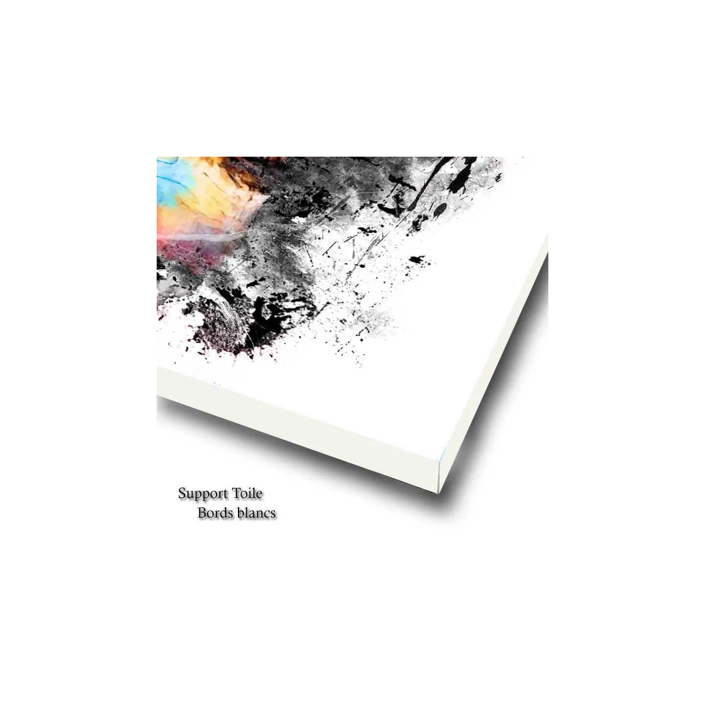 tableau pop art chanteur rock français Hallyday impression toile