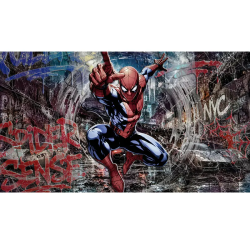 Tableau Spider-Man Street Art Premium dans les rues de New York by LVIP