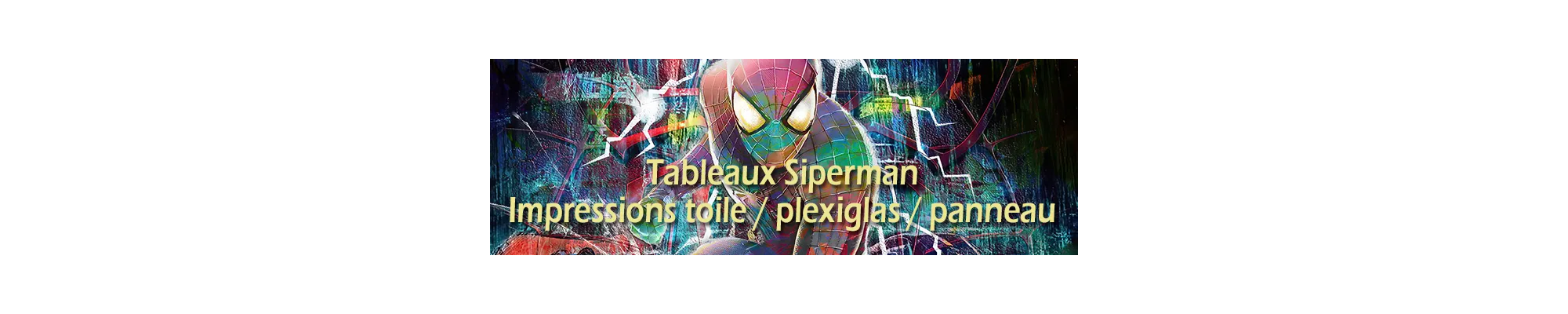 Tableaux Univers Spiderman | Art Pop Culture Moderne