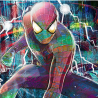 Univers Spiderman