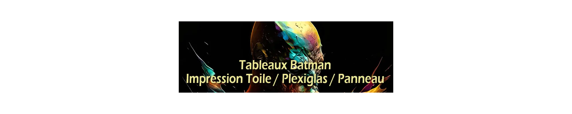 Tableaux Univers Batman | Art Super-Héros Moderne by LVIP
