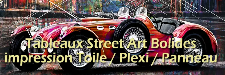 Street Art Voitures / Motos