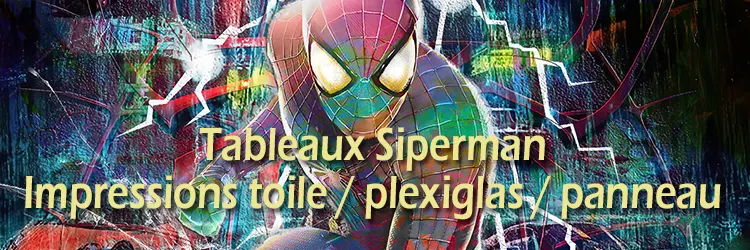 Univers Spiderman