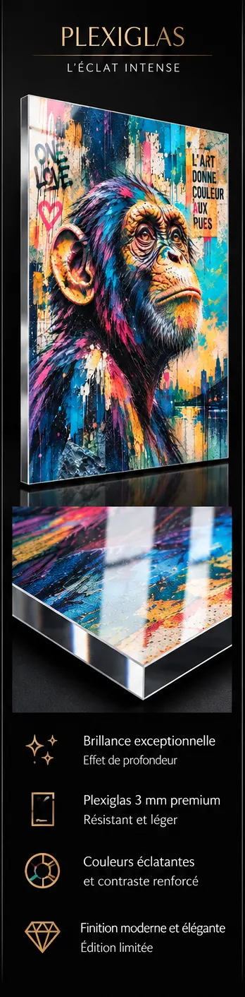Urban Soul présentation du support Plexiglas Premium 3 mm