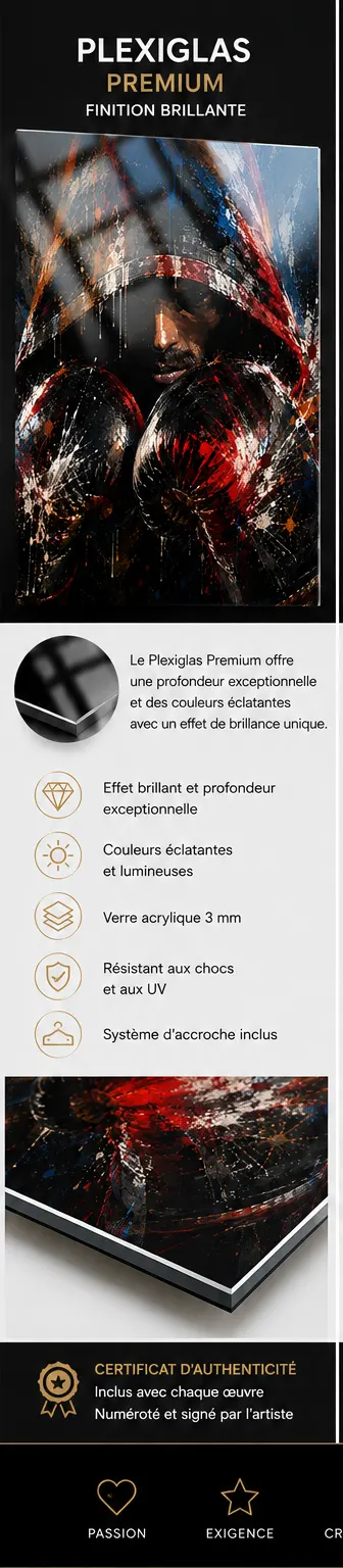 Shadow Fight présentation du support Plexiglas Premium 3 mm