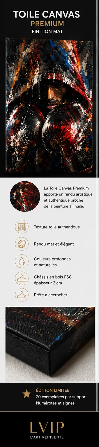 Shadow Fight présentation du support Toile Canvas Premium