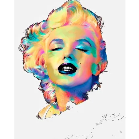 tableau pop art marylin monroe portrait coloré pour déco design