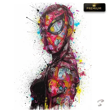 Tableau Spider-Man Pop Art Street Art Premium par LVIP